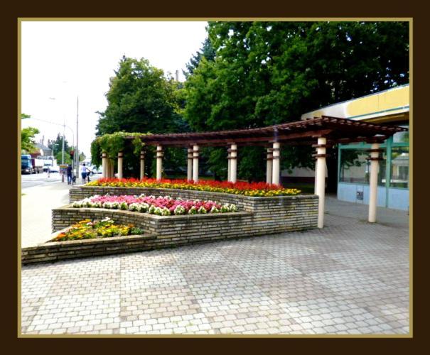 Matilda Apartman Apartamento Hajdúszoboszló Quarto foto